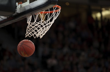 NBA季后赛数据可视化项目 - 篮球比赛数据图表可视化展示